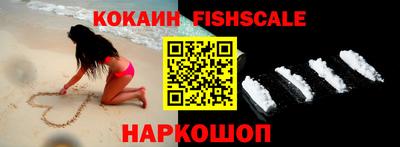 индика Боровичи