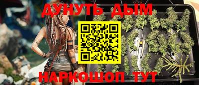 индика Боровичи
