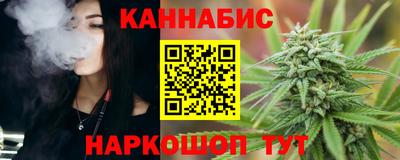 индика Боровичи