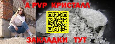 индика Боровичи
